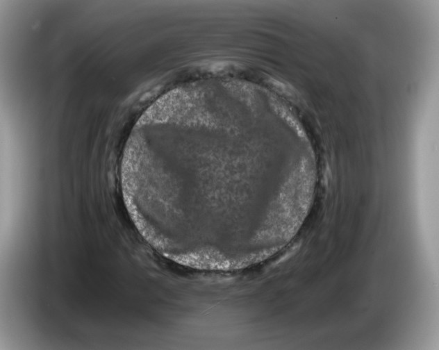 X0000086261014200704261951