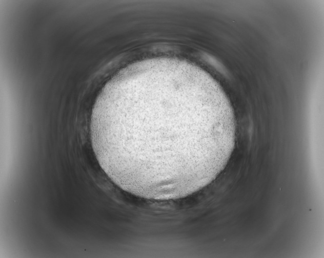 X0000086261015200704261951