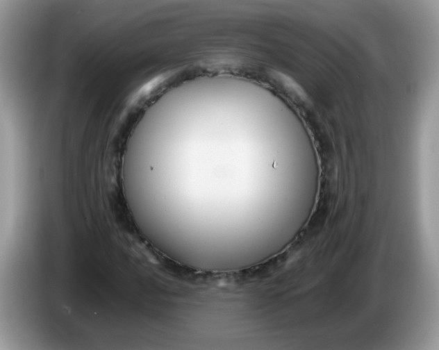 X0000086261016200704261951