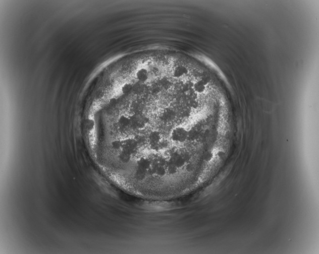 X0000086261019200704261951