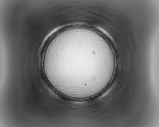 X0000086261021200704261951