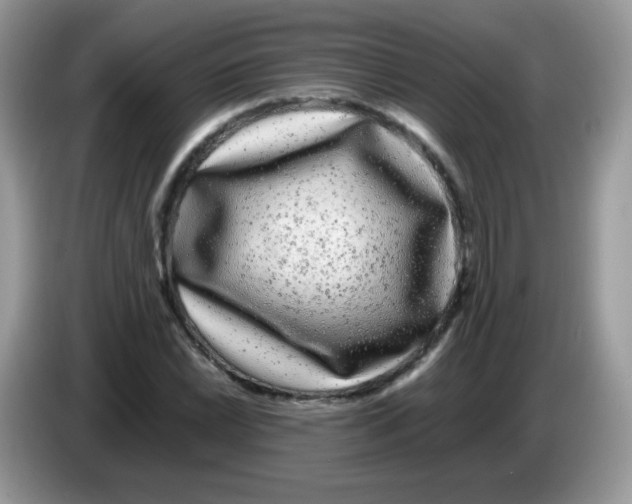 X0000086261022200704261951