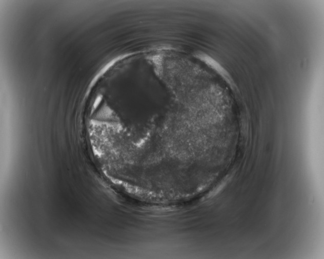 X0000086261023200704261951