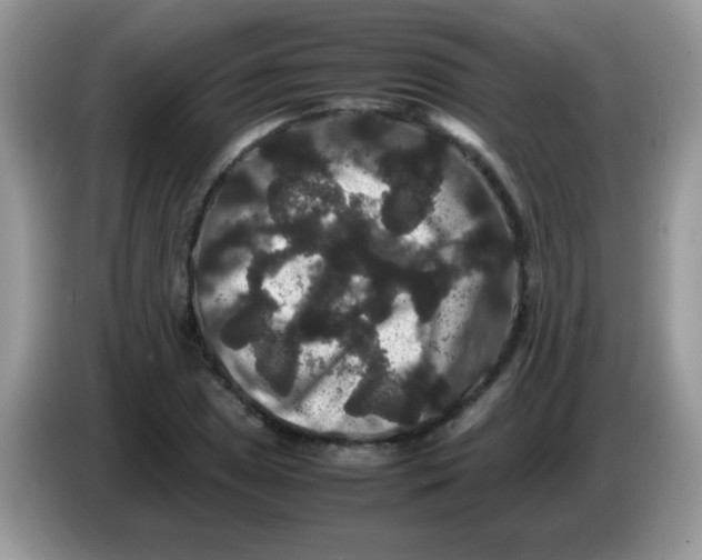 X0000086261025200704261951