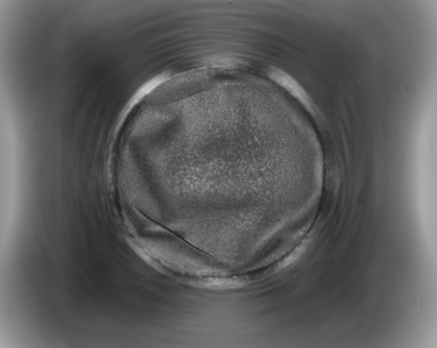 X0000086261026200704261951