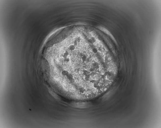 X0000086261027200704261951