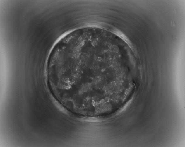 X0000086261028200704261951