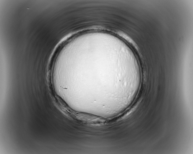 X0000086261029200704261952