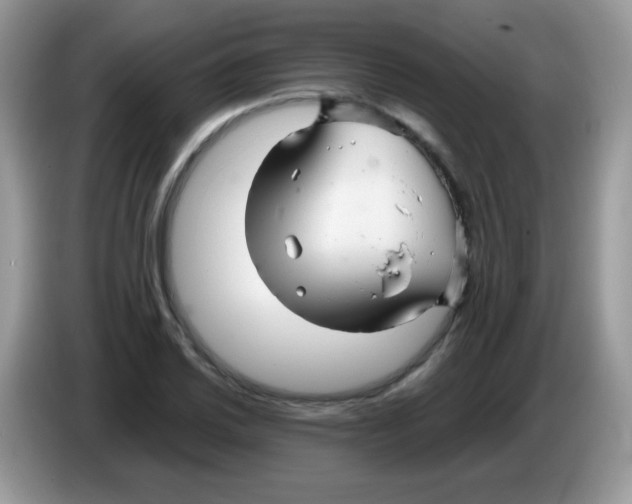 X0000086261030200704261952