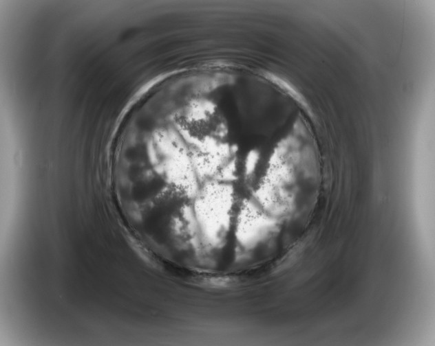 X0000086261031200704261952