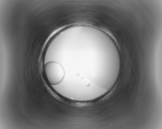 X0000086261032200704261952