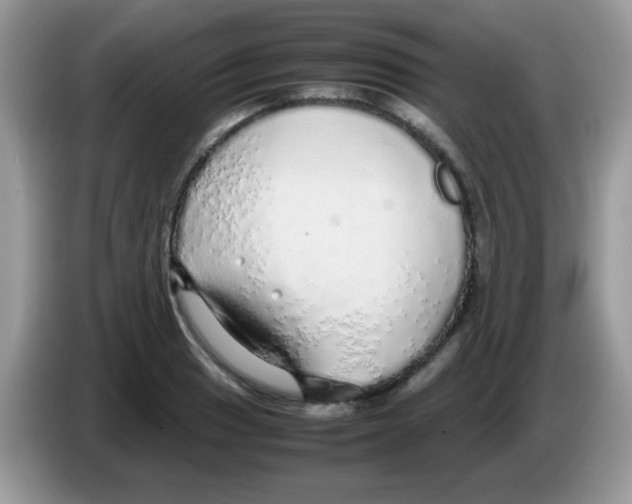 X0000086261033200704261952