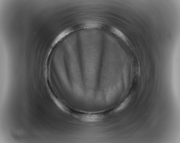 X0000086261034200704261952