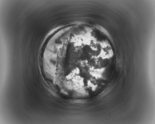 X0000086261035200704261952