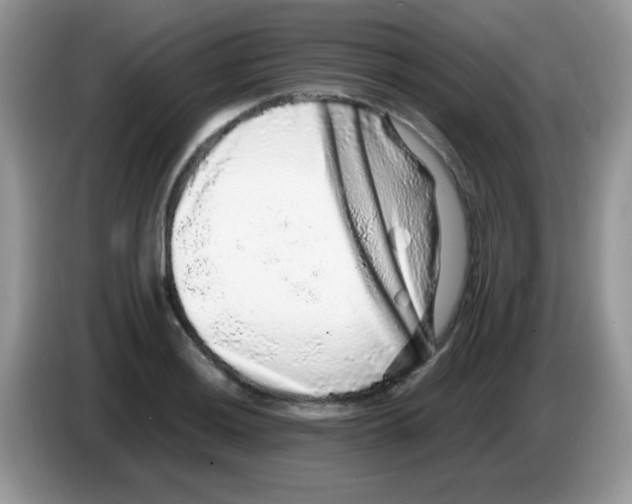 X0000086261036200704261952