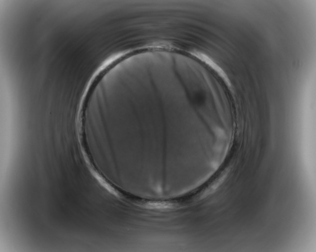 X0000086261037200704261952
