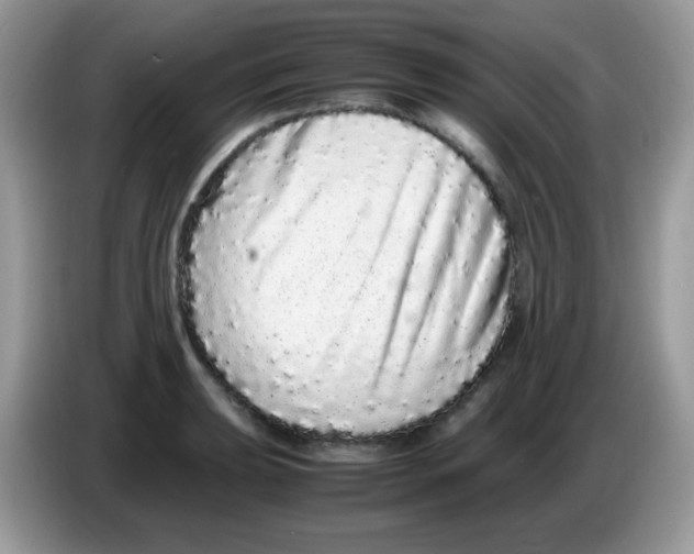 X0000086261039200704261952