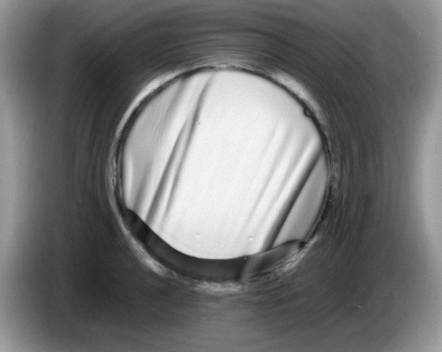 X0000086261040200704261952