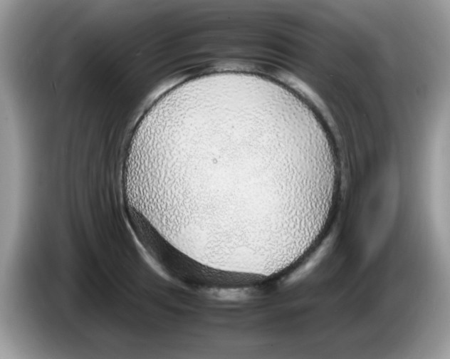 X0000086261041200704261952