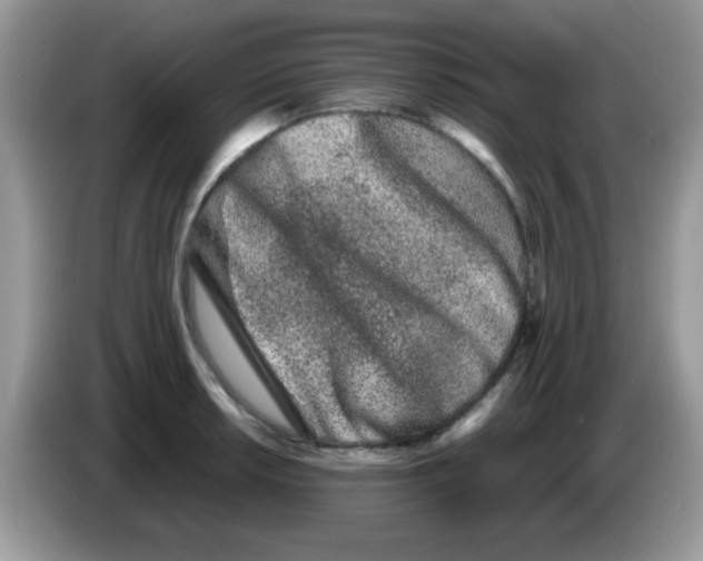 X0000086261042200704261952