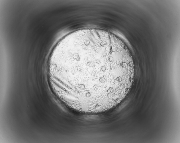 X0000086261043200704261952