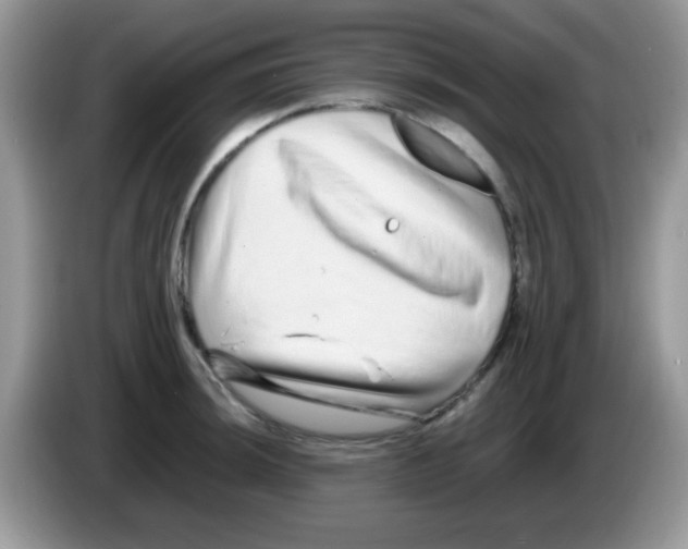 X0000086261044200704261952