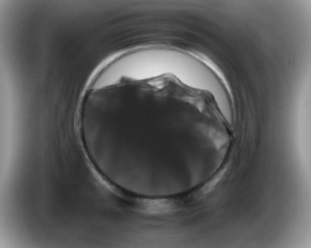 X0000086261045200704261952