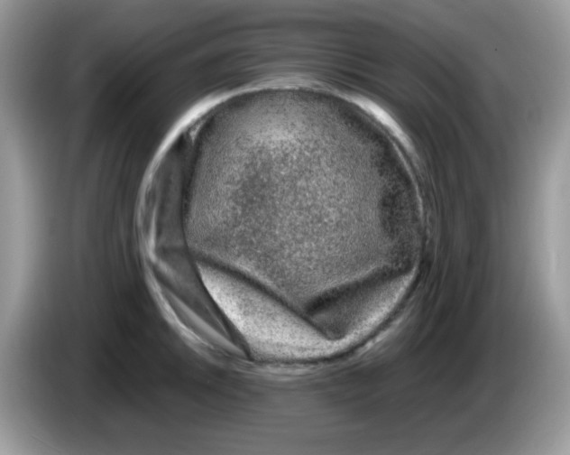 X0000086261046200704261952