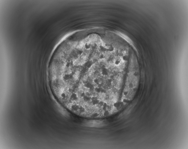 X0000086261047200704261952