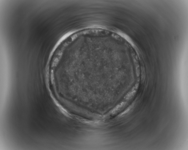 X0000086261048200704261952