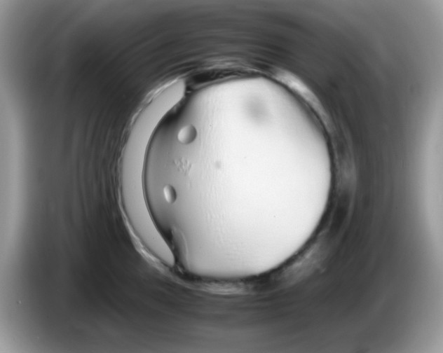 X0000086261049200704261952