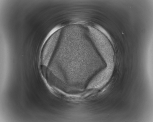 X0000086261050200704261952