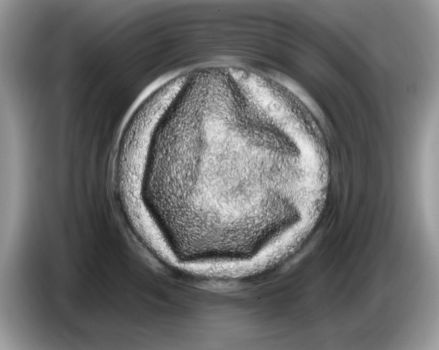 X0000086261052200704261952