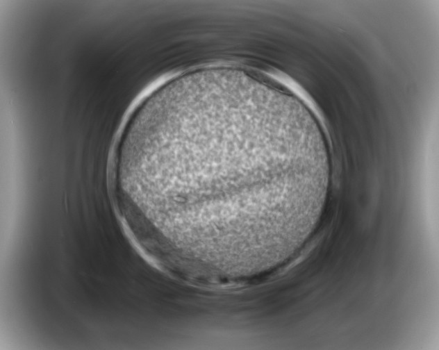 X0000086261053200704261952