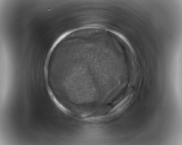 X0000086261054200704261952