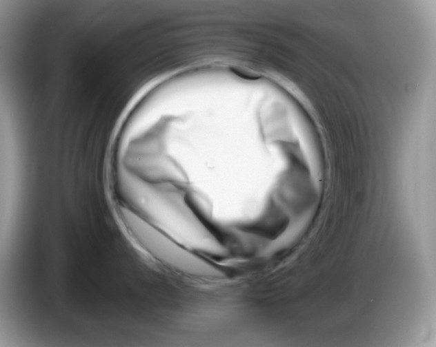 X0000086261056200704261952