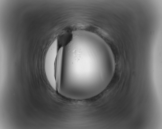 X0000086261058200704261951