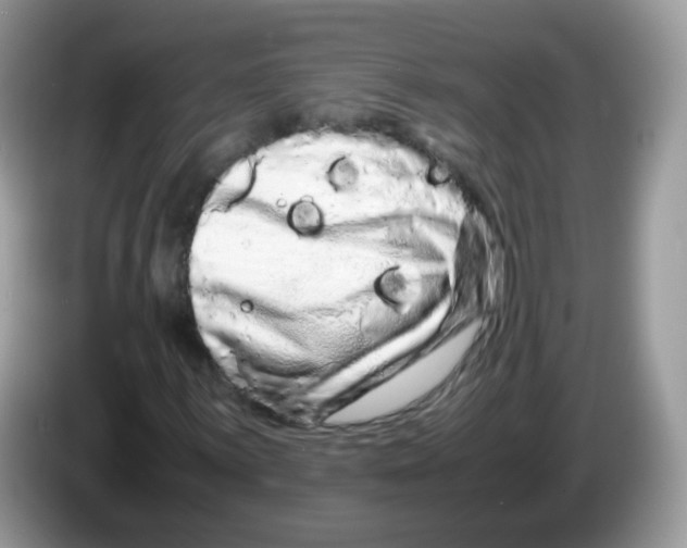 X0000086261059200704261951