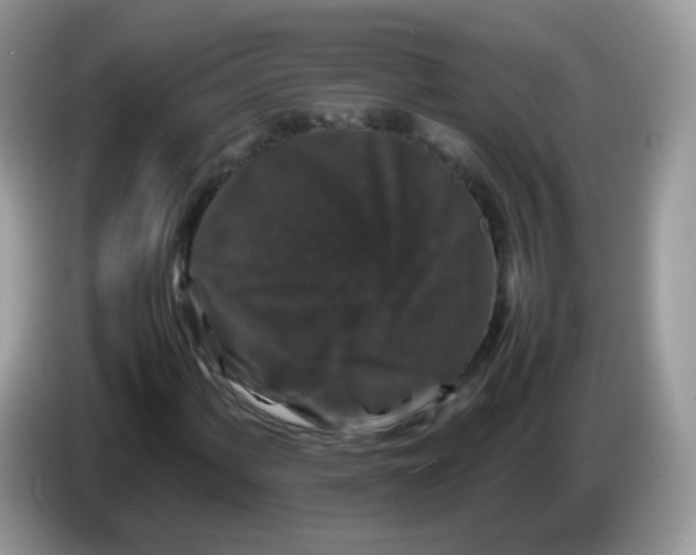 X0000086261060200704261951