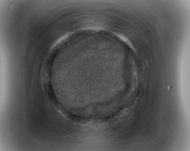 X0000086261064200704261951