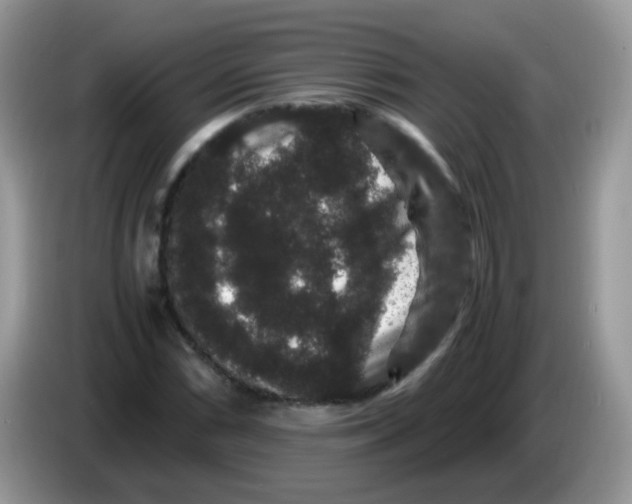 X0000086261066200704261951