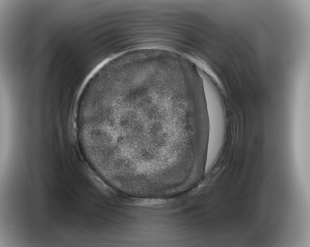 X0000086261068200704261951