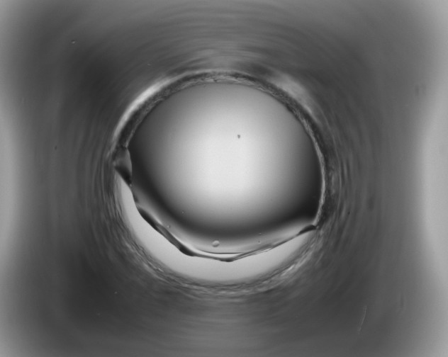 X0000086261069200704261951