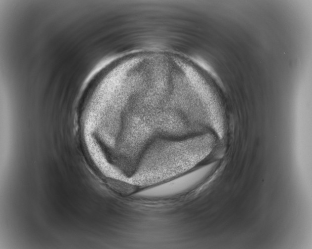 X0000086261070200704261951