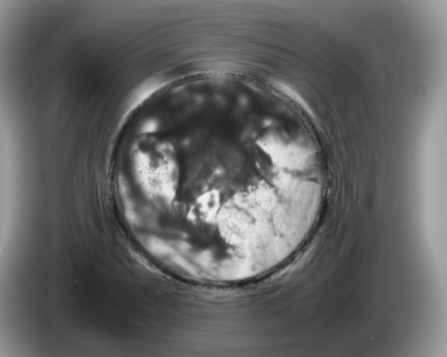 X0000086261071200704261951