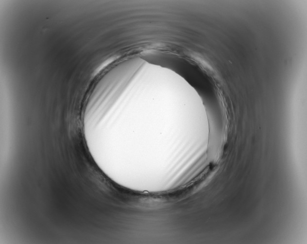 X0000086261073200704261951