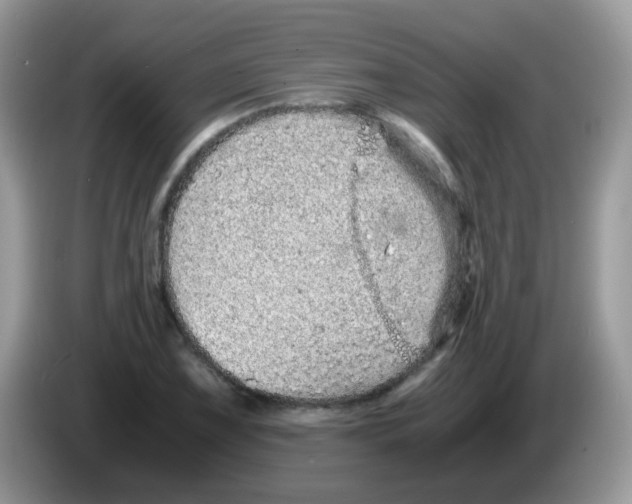 X0000086261075200704261951