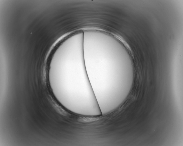 X0000086261076200704261951