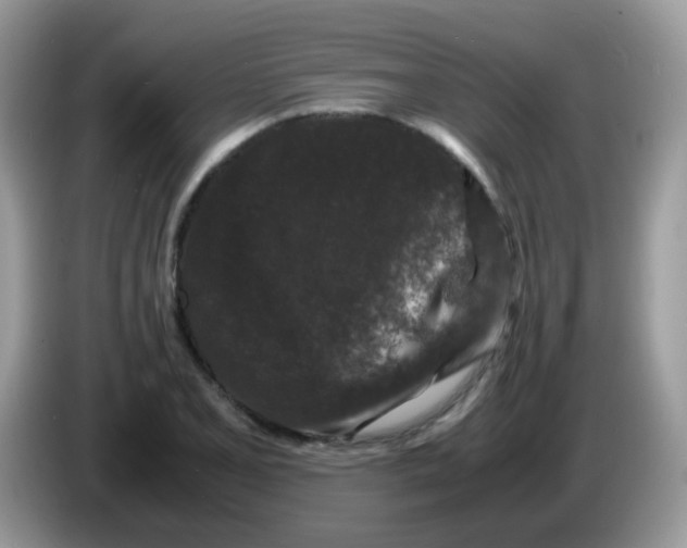 X0000086261077200704261951