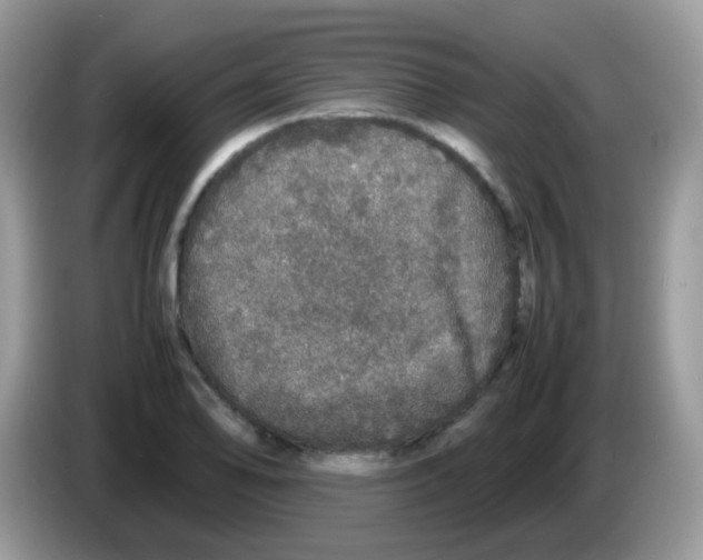 X0000086261078200704261951